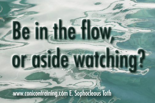 Quote: Be in the flow or aside watching?. By E. Sophocleous Toth