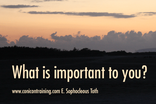 Quote: What is important to you? By E. Sophocleous Toth